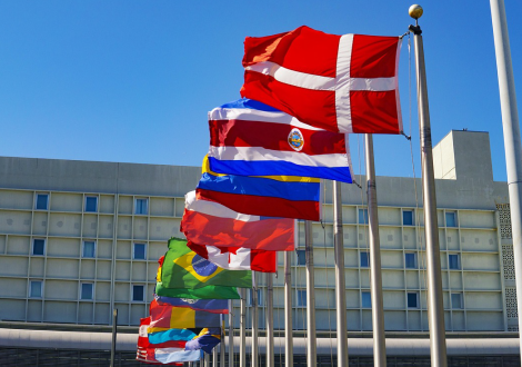 World Flags