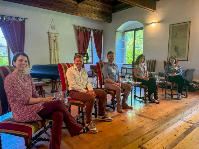 Talloires development panel