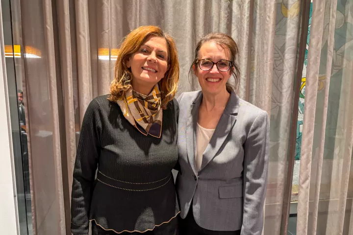 Gallagher and Kabawat