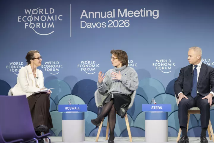 Plastics Treaty Panel