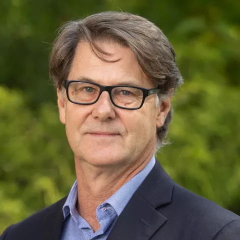 Professor Ian Johnstone