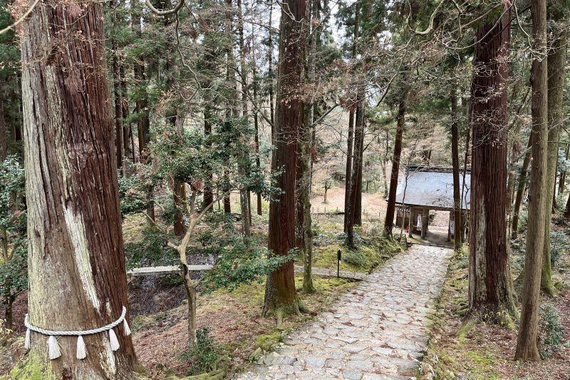 A path leads down to a shrine in the woods