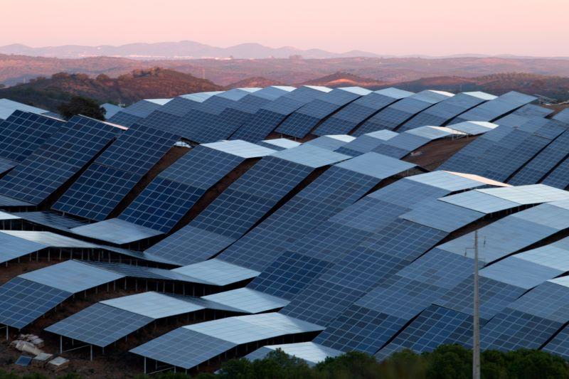 A field of solar panels in front of a rosy background. 