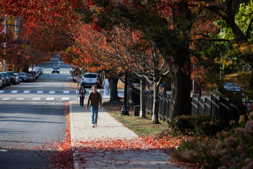 A student walks up a sidewalk covered in red leaves