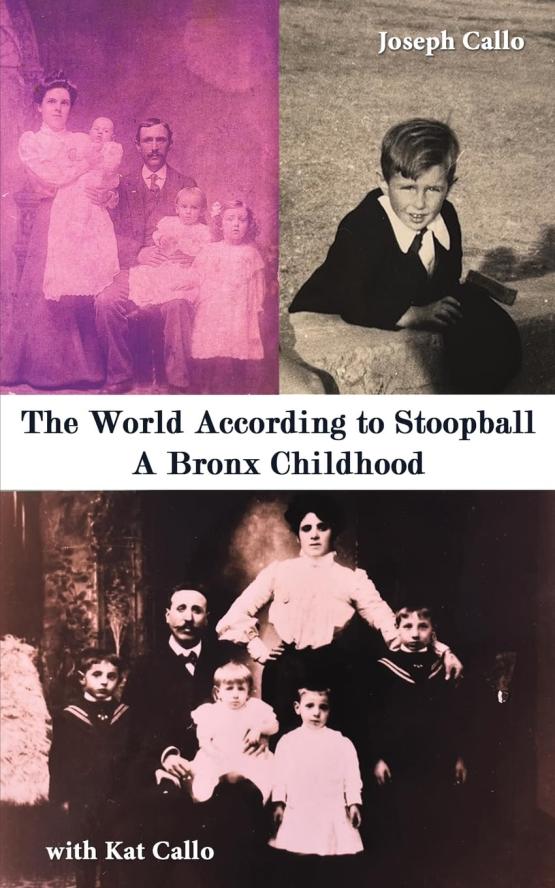 The World According to Stoopball: A Bronx Childhood
